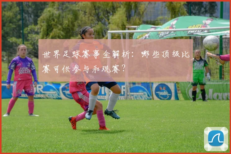 世界足球赛事全解析：哪些顶级比赛可供参与和观赛？