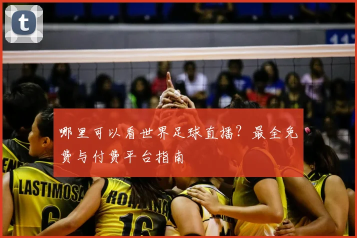 哪里可以看世界足球直播？最全免费与付费平台指南