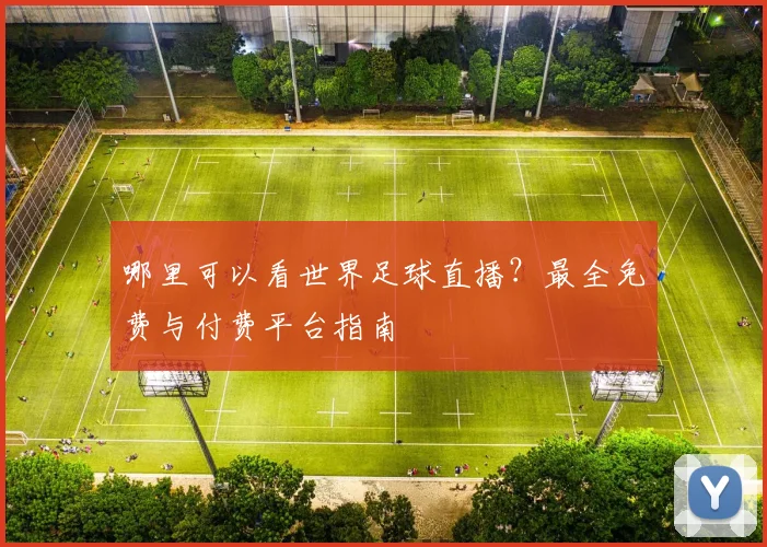 哪里可以看世界足球直播?最全免费与付费平台指南