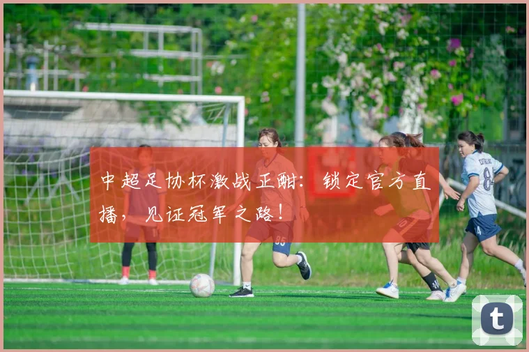 中超足协杯激战正酣:锁定官方直播,见证冠军之路!